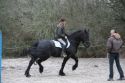 stage-dressage-toma4